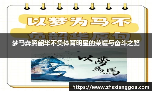 南宫NG28