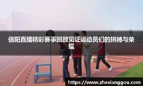 信阳直播精彩赛事回顾见证运动员们的拼搏与荣耀